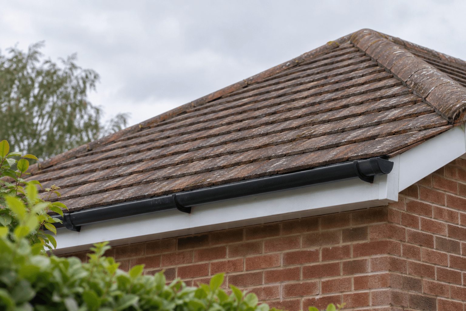 Illustration of a tiled roof, ridge tiles, gutter and fascia viewed from ground level.